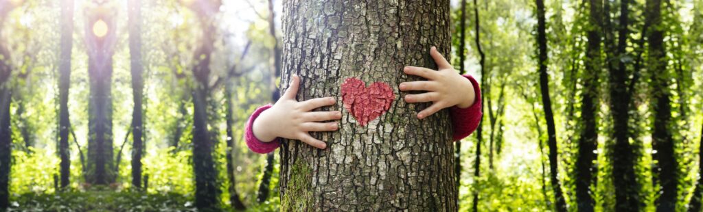 Child hugging a tree with a heart in the middle surrounded by other trees.