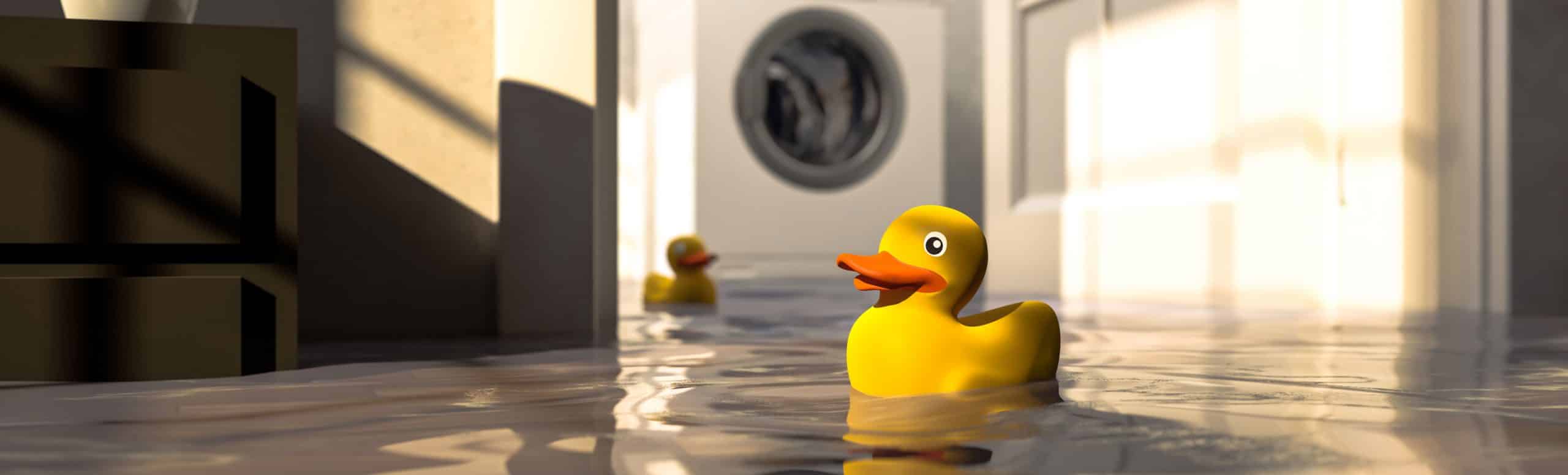 Close up of a rubber duck floating in a flooded house