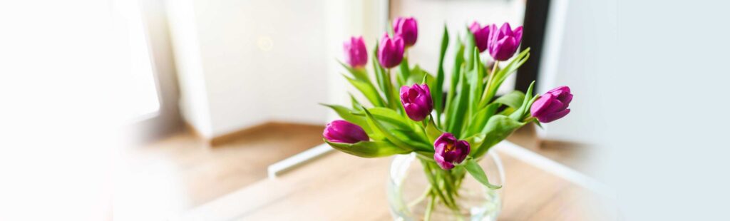 Purple tulips in a glass vase on a table