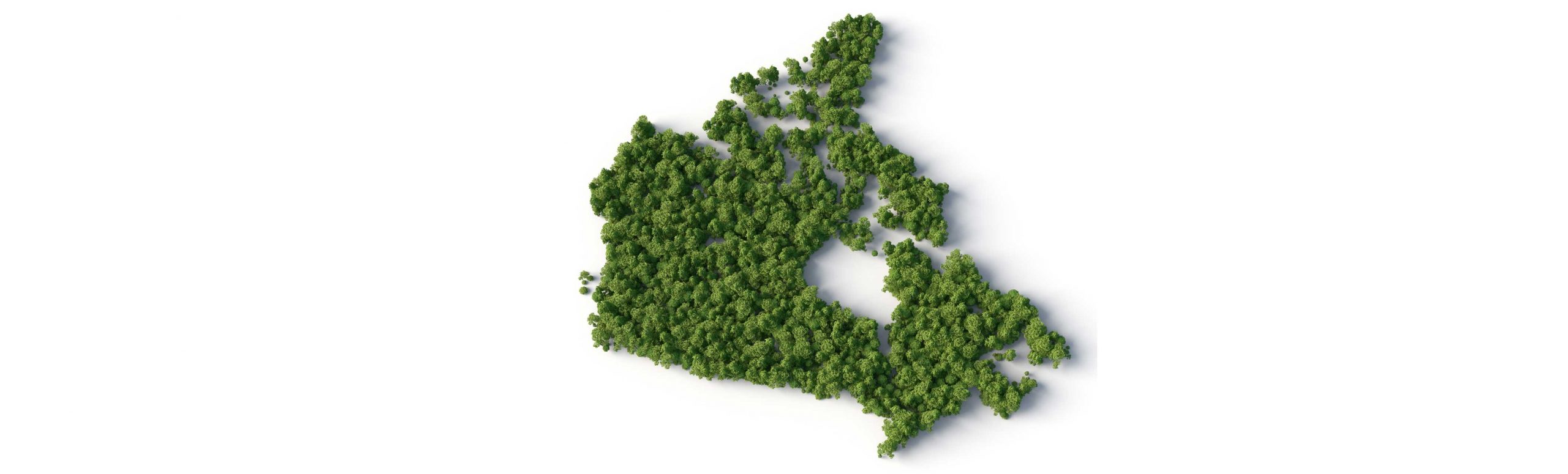 green plants in the shape of Canada