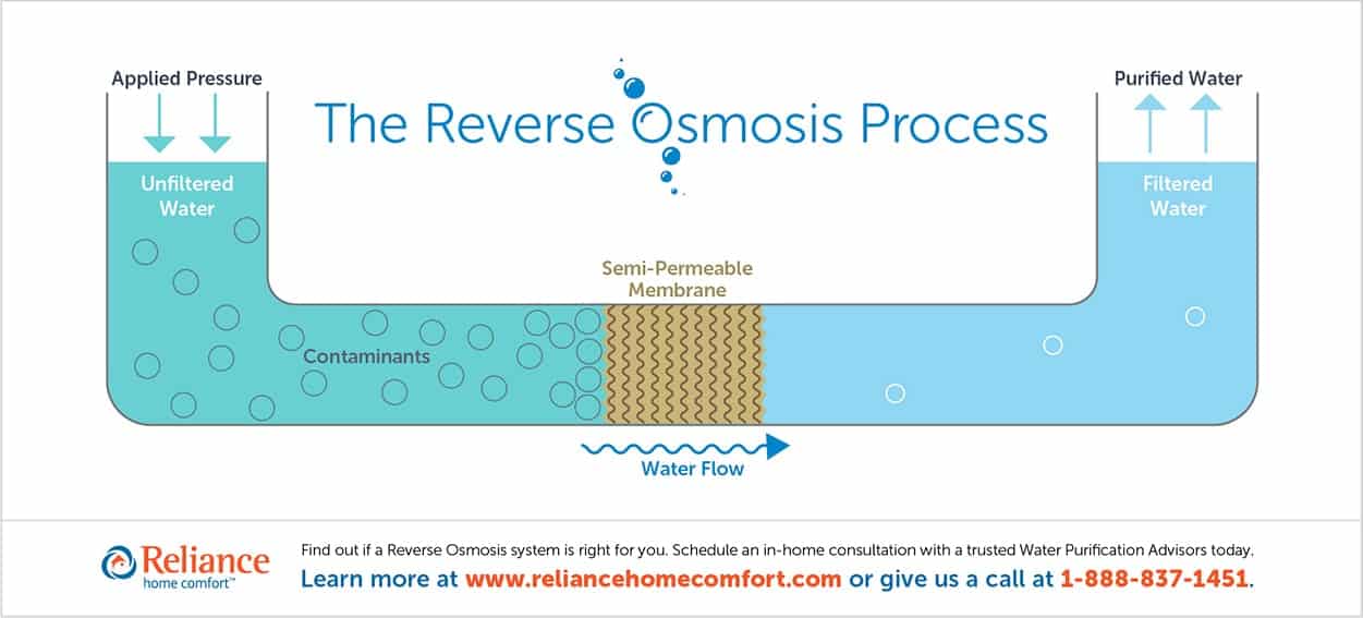 infographic shows process of reverse osmosis, detailed in text below it.